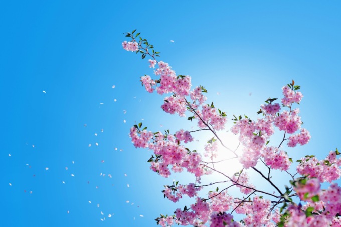 Sole, vento e temperature più basse, ma la pioggia non arriva: meteo Lombardia