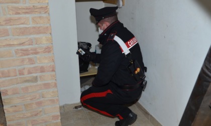 Il video dell'intercapedine segreta in cui un insospettabile 62enne nascondeva 3 milioni di euro di droga
