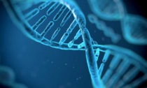 Il Dna non ha più segreti: completata la mappa del genoma umano