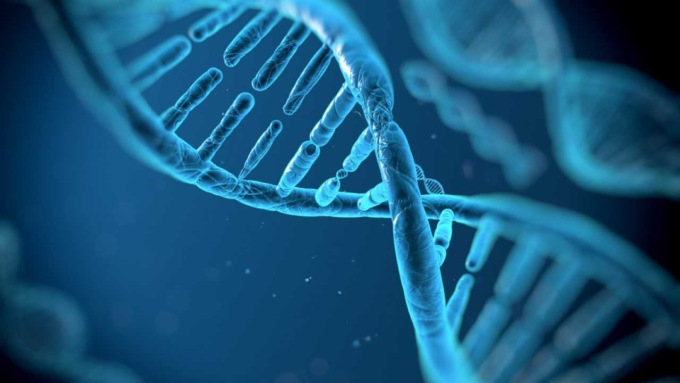 Il Dna non ha più segreti: completata la mappa del genoma umano
