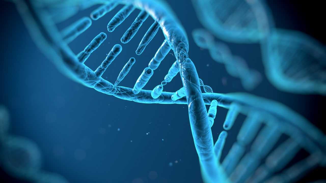 Il Dna non ha più segreti: è stata completata la mappa del genoma umano