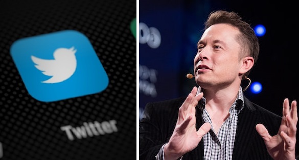 Come cambierà Twitter dopo essere stato acquistato da Elon Musk