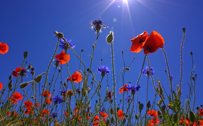 Che tempo farà a Pasqua e Pasquetta in Lombardia