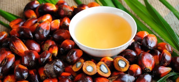 A ridosso dell'Earth Day 2022 torna la "minaccia" dell'olio di palma