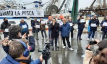 Pesca marittima, il Distretto del Nord Adriatico scrive al ministero: "Misure urgenti per scongiurare drammatica crisi"