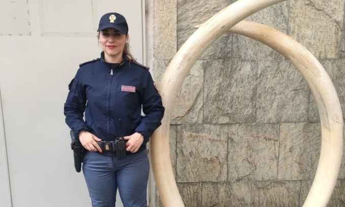 In casa come soprammobili aveva… due zanne di elefante da 120.000 euro
