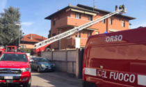 Gli italiani si fidano più dei Vigili del fuoco che dei politici