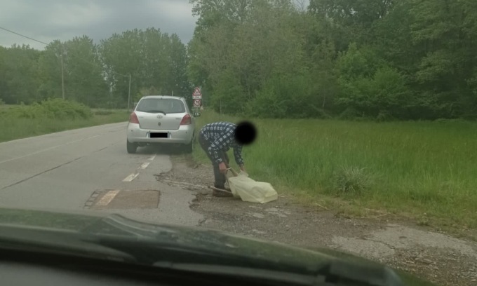 Carica un daino ferito sull’auto per portarselo a casa. Se lo sarà mangiato?