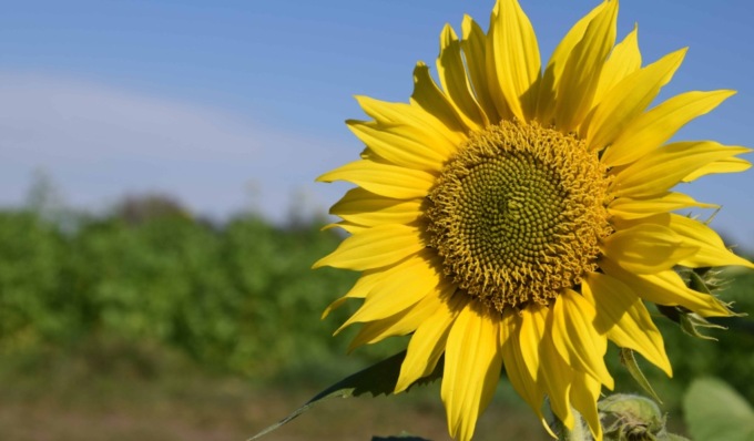 Si rafforza l’alta pressione subtropicale, in Lombardia una settimana di sole e caldo