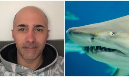 Terrore in Puglia, attaccati da uno squalo toro sul kayak: "Siamo vivi per miracolo"
