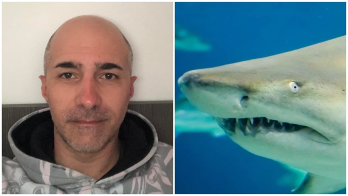 Terrore in Puglia, attaccati da uno squalo toro sul kayak: “Siamo vivi per miracolo”