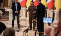 Perché in Ucraina sono tutti pazzi per Patron, il cagnolino premiato anche da Zelensky
