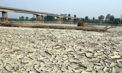 Anche il Delta del Po è in sofferenza: il cuneo salino sta uccidendo le coltivazioni
