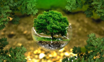 Giornata Mondiale Ambiente 2022, il tema è “Only One Earth”