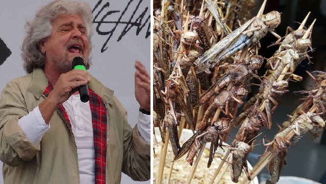 Mangeremo davvero gli insetti? Beppe Grillo li vuole inserire nei menù delle scuole