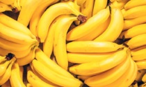 Consegna "stupefacente" al supermercato: in mezzo alle banane ci sono... 840 chili di cocaina