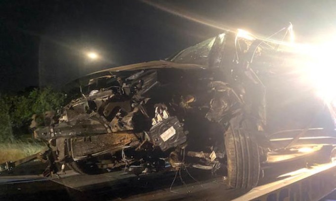 Emergenza cinghiali: peste suina e un incidente stradale ogni 41 ore, ora basta