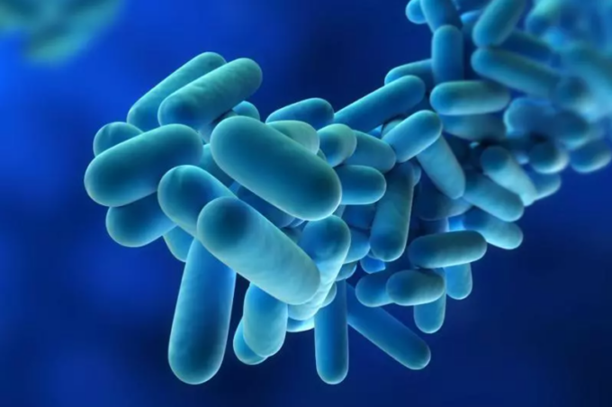 Cos’è questa storia dell’epidemia di Legionella in provincia di Bergamo