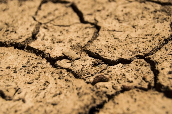 Giugno 2022, caldo da record in Europa