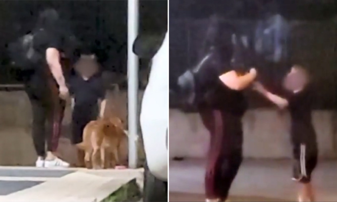 Il video della madre che abbandona il cane davanti al figlio che piange a dirotto