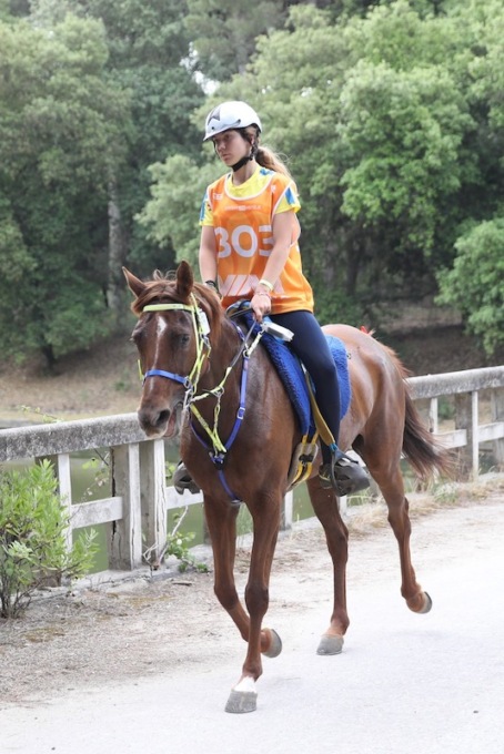 Campionessa di equitazione 17enne muore cadendo da cavallo in allenamento