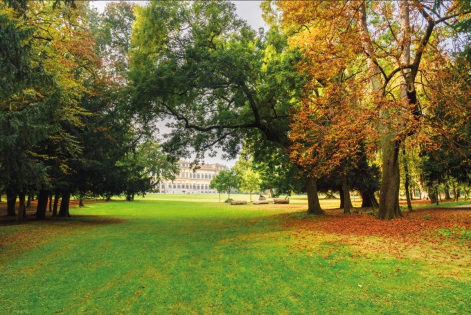 Nel Parco di Monza e a Borgio Verezzi