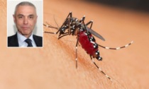 West Nile, Palù: "Il vaccino c'è, ma non viene prodotto dalle case farmaceutiche"