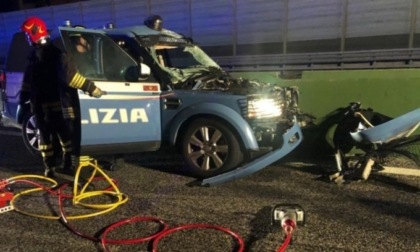 Auto della Polizia investe una mucca in Tangenziale: quattro agenti feriti