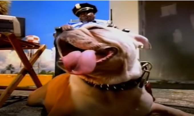 Spara a palla “Who Let The Dogs Out” contro i vicini per sei ore per vendicarsi del cane che abbaia