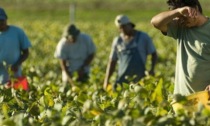 Lavoro nero, in Italia oltre 3 milioni di irregolari: il Nord supera il Sud
