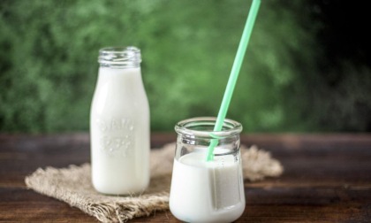 Latte e yogurt, dieci regole per il consumo corretto