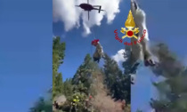 Il video della mucca volante: salvata dai Vigili del fuoco, che ne sarà ora di lei?
