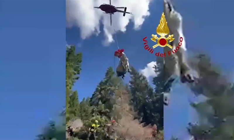 Il video della mucca volante: salvata dai Vigili del fuoco, che ne sarà ora di lei?