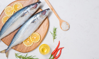 Ci mancava solo il pesce in provetta: la novità dell'industria alimentare che spopola all'estero (ma che gli italiani non vogliono)