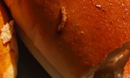 Il panino è "farcito": fornaio denunciato per un verme cotto nella crosta