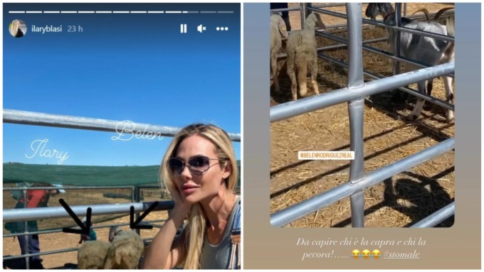 “C’è da capire chi è la capra e chi la pecora”, botta e risposta social tra Ilary Blasi e Belen