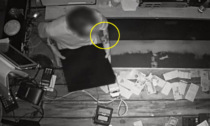 "Firma" inconfondibile: ladro incauto si fa beccare dai tatuaggi