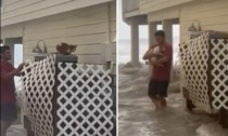 Salva la vita a un gattino durante l'uragano: il video che ha commosso il web