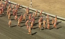 Il video della folle gara di corsa tra... tirannosauri