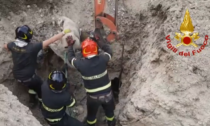Il video della pecora incastrata in una tubazione e salvata dai vigili del fuoco