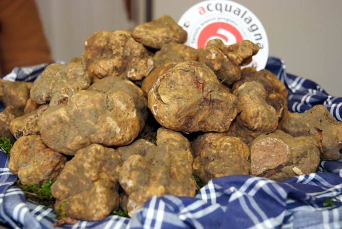 Ad Acqualagna va in scena la 57ª Fiera Nazionale del Tartufo Bianco