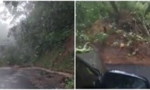 Il video della folle retromarcia per evitare di essere inghiottiti da una frana di fango e alberi