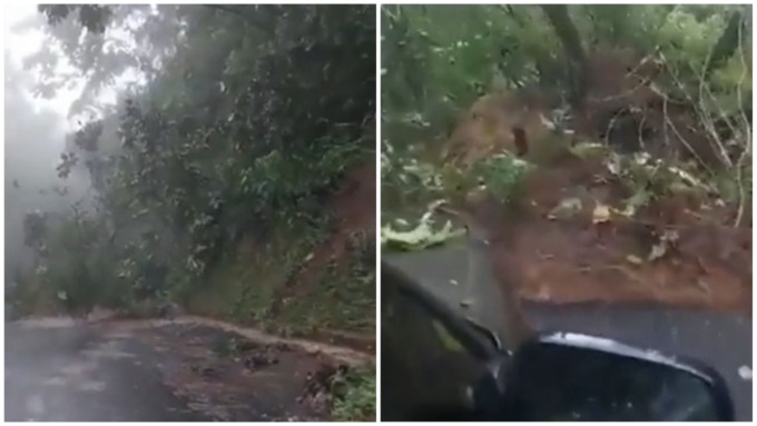 Il video della folle retromarcia per evitare di essere inghiottiti da una frana di fango e alberi