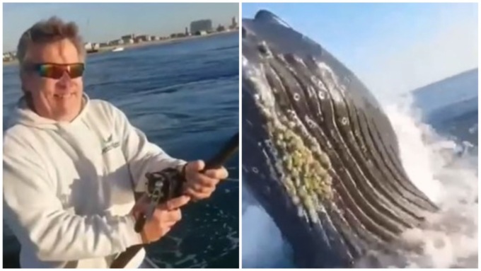 Una balena esce dall’acqua all’improvviso: la reazione terrorizzata del pescatore