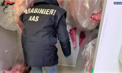 Carne contaminata da listeria non segnalata: arrestati padre e figlio veterinari