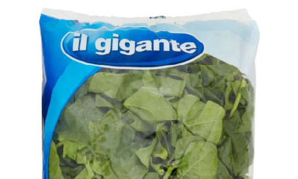 Rischio mandragora: ritirate dal mercato le buste di spinaci Il Gigante da 500 grammi