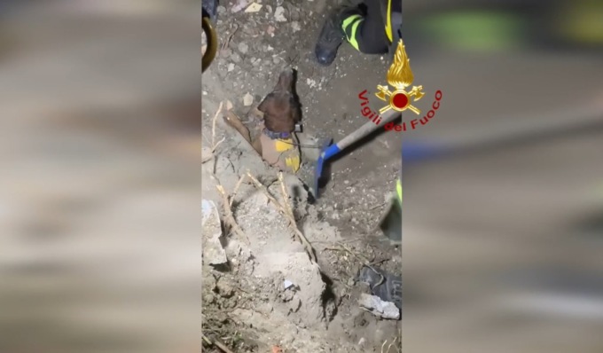 Il video del salvataggio del cagnolino sepolto vivo sotto terra