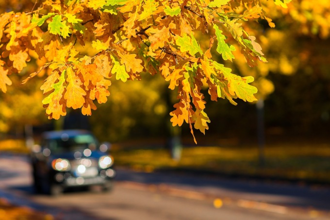 Nel fine settimana tanto sole e temperature in risalita | Meteo Lombardia