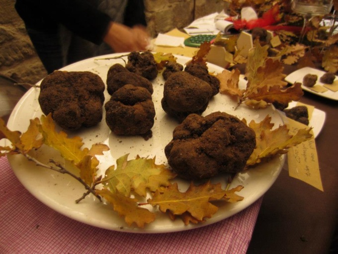 “Le Terre del Tartufo” a Pieve Torina