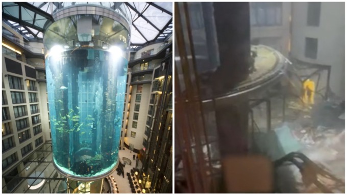 Berlino, acquario con 1.500 pesci tropicali esplode in un hotel